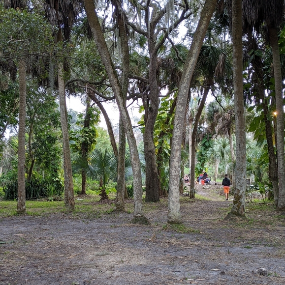 Meet your Posher, Leah - Picture 2 of 14